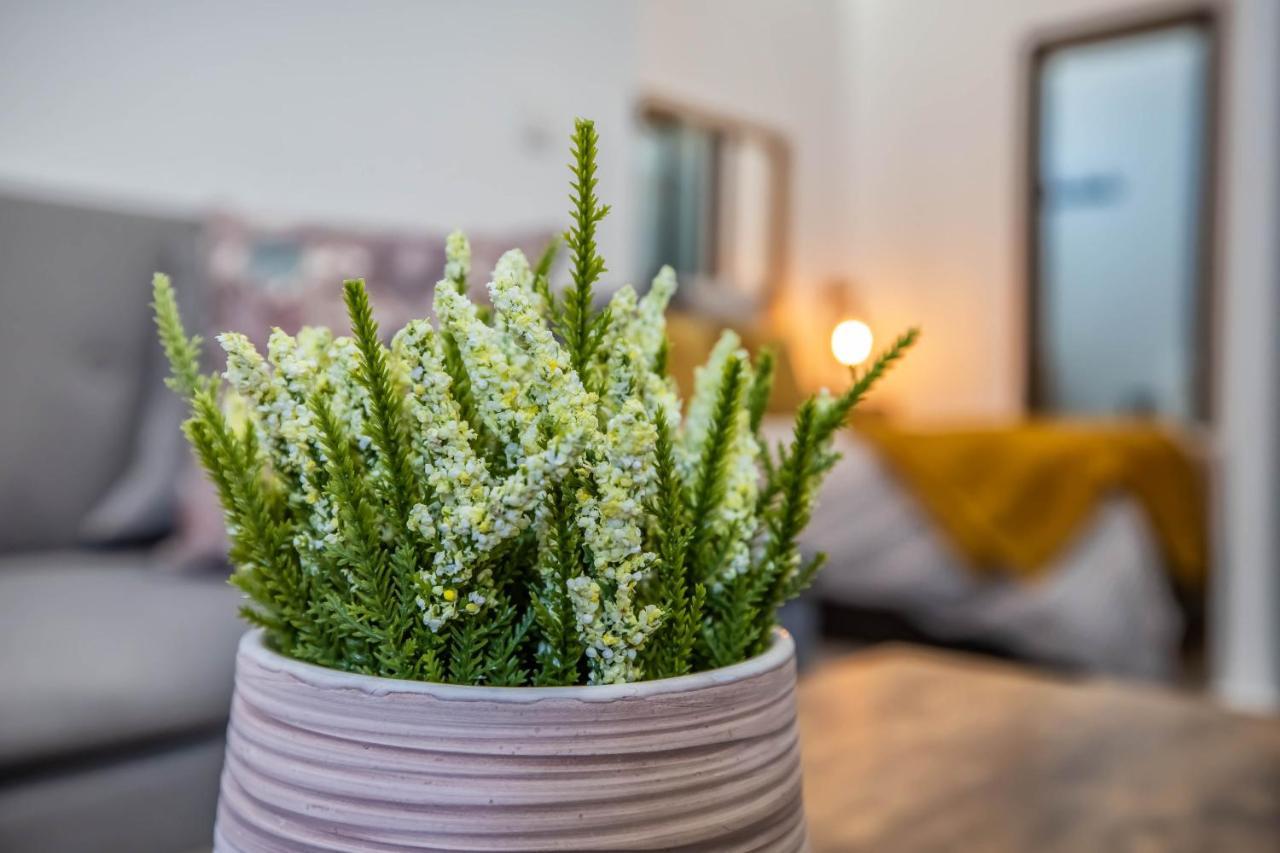 Garesc Lofts Apartment กอร์โดบา ภายนอก รูปภาพ