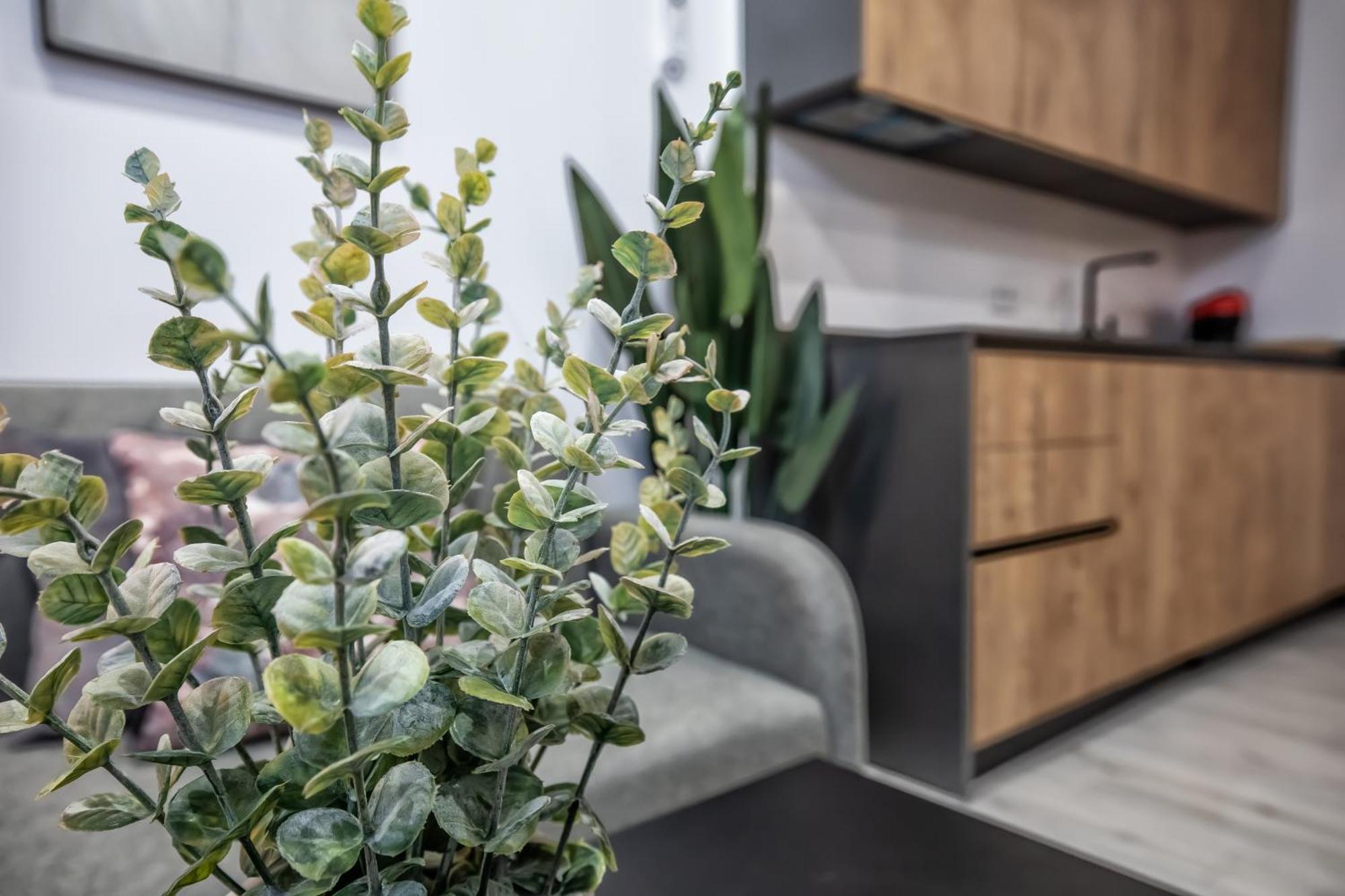 Garesc Lofts Apartment กอร์โดบา ภายนอก รูปภาพ